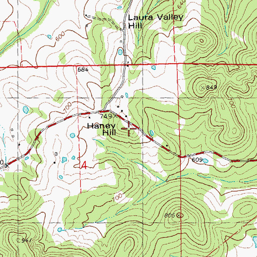 Topographic Map of Haney Hill, MO