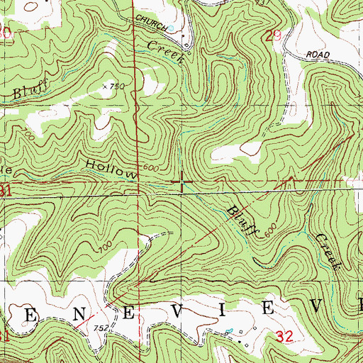 Topographic Map of Valle Hollow, MO