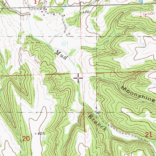 Topographic Map of Moonshine Hollow, MO