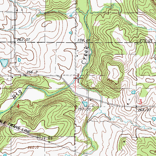 Topographic Map of Koger Branch, MO