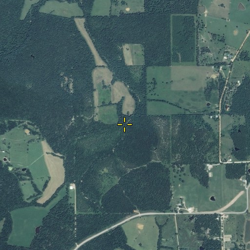 Aerial/Satellite Image of Campbell Branch, MO