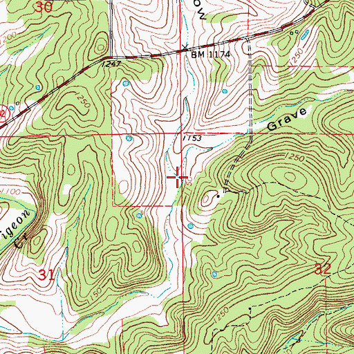 Topographic Map of Grave Hollow, MO