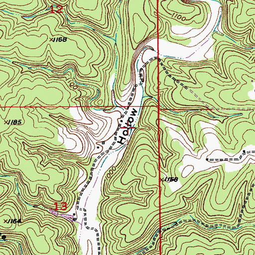 Topographic Map of Medley Hollow, MO