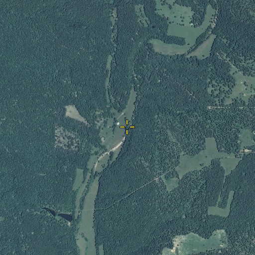 Aerial/Satellite Image of Medley Hollow, MO