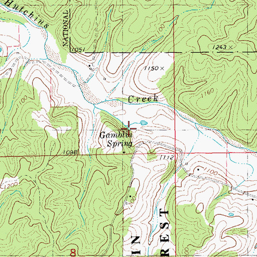 Topographic Map of Gamblin Spring, MO