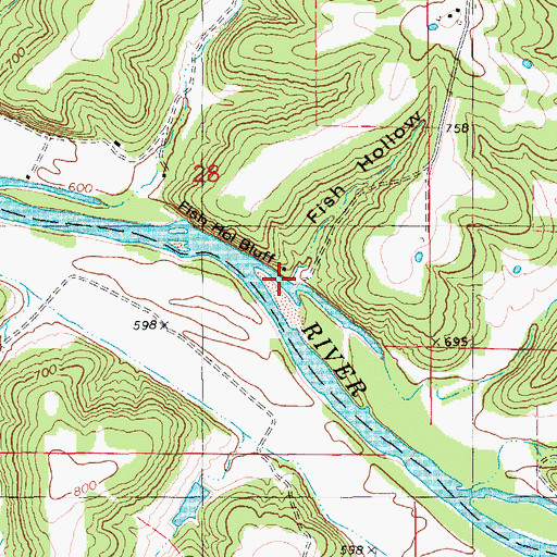 Topographic Map of Fish Hollow, MO