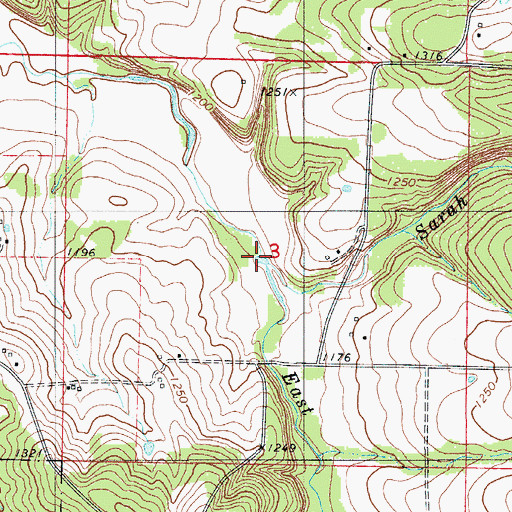 Topographic Map of Sarah Branch, MO
