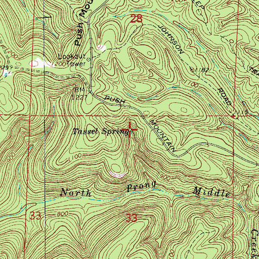 Topographic Map of Tassel Spring, AR