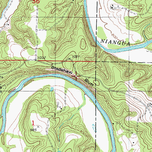 Topographic Map of Bradshaw Bluff, MO