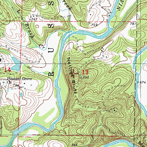 Topographic Map of Nettles Bluff, MO