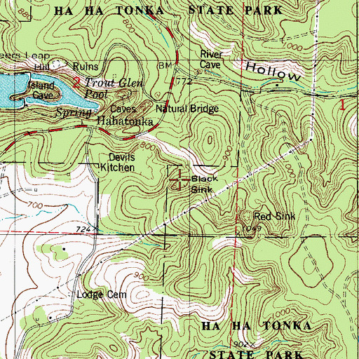 Topographic Map of Black Sink, MO