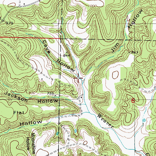 Topographic Map of Cave Hollow, MO