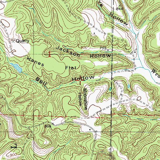 Topographic Map of Moonshine Hollow, MO