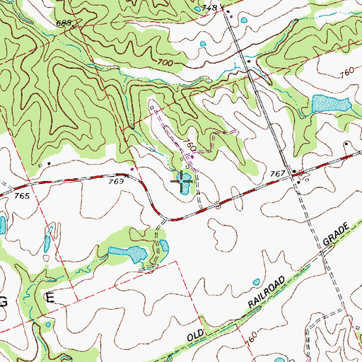 Topographic Map of Old Negro Pond, MO