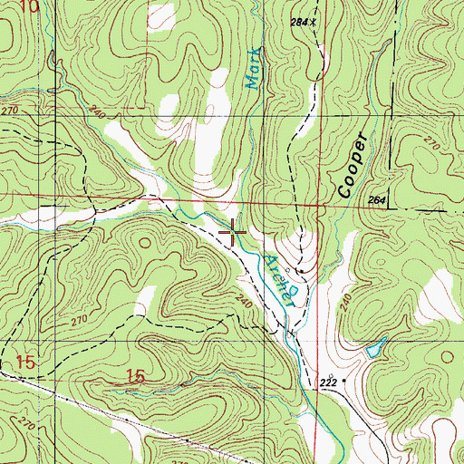 Topographic Map of Mark Branch, MO