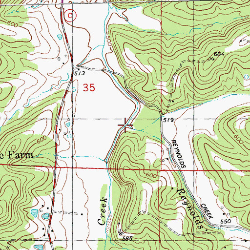 Topographic Map of Reynolds Creek, MO