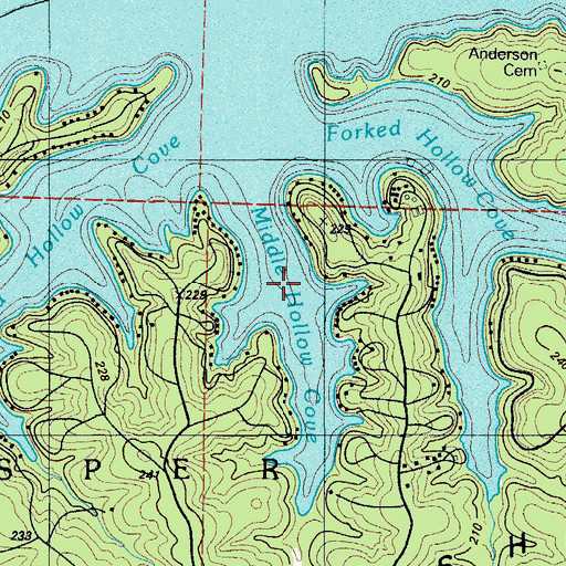 Topographic Map of Middle Hollow Cove, MO