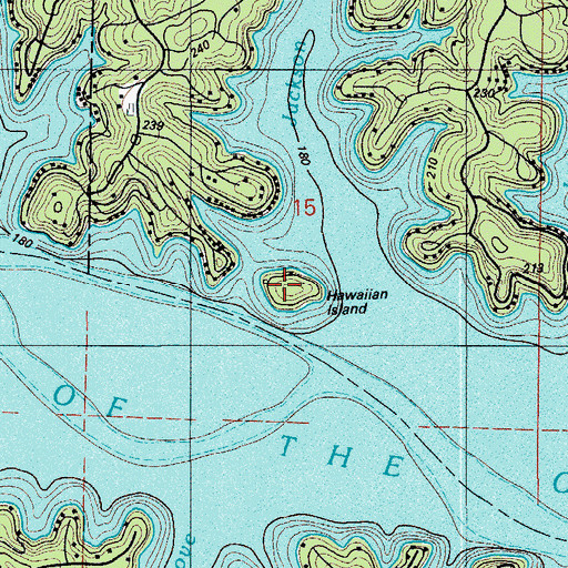 Topographic Map of Hawaiian Island, MO