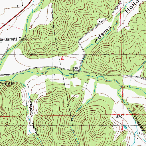 Topographic Map of Adams Hollow, MO