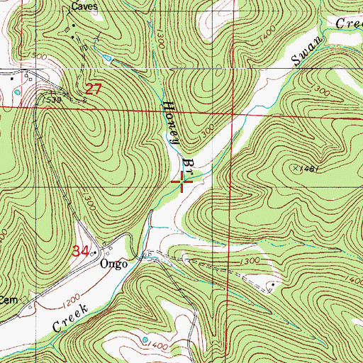 Topographic Map of Honey Branch, MO