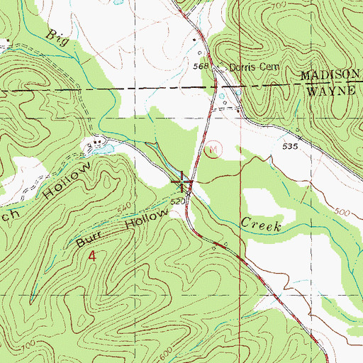 Topographic Map of Burr Hollow, MO