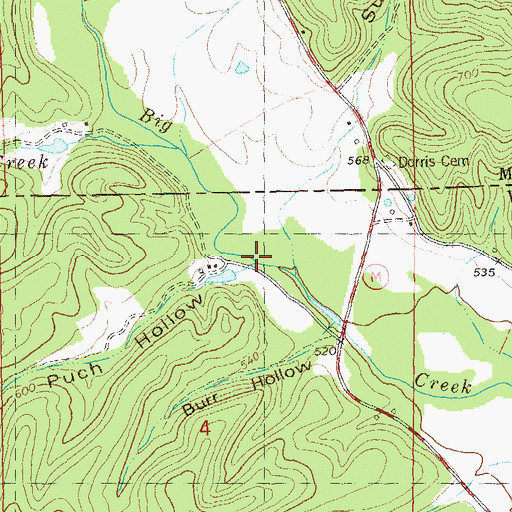 Topographic Map of Puch Hollow, MO