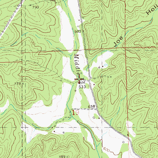 Topographic Map of Joe Hollow, MO