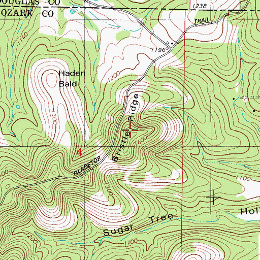 Topographic Map of Bristle Ridge, MO