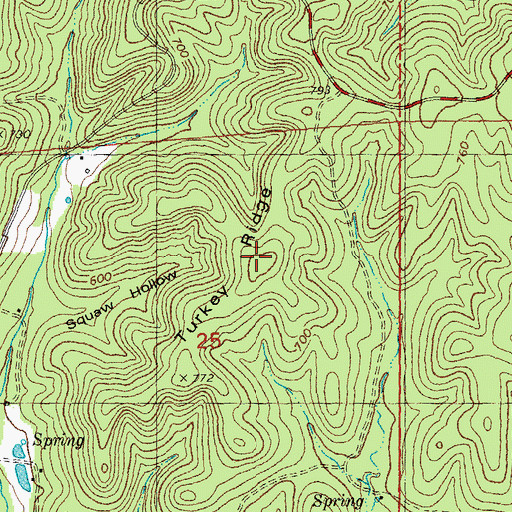 Topographic Map of Turkey Ridge, MO