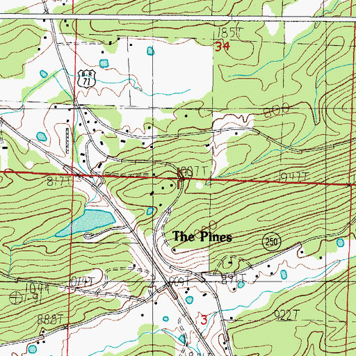 Topographic Map of The Pines, AR