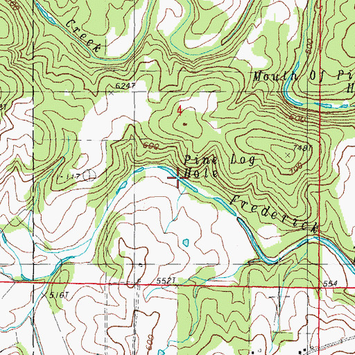 Topographic Map of Pine Log Hole, MO