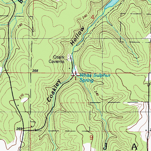 Topographic Map of White Sulphur Spring, MO