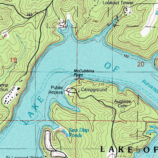 Topographic Map of McCubbins Point, MO