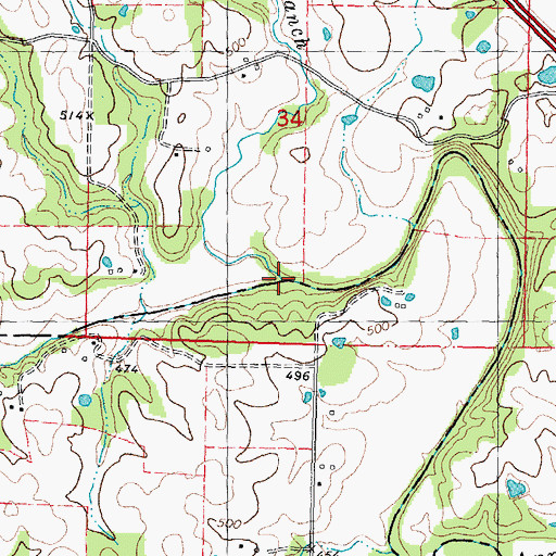 Topographic Map of Rocky Branch, MO