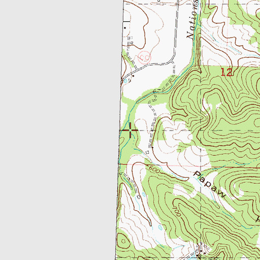 Topographic Map of Papaw Hollow, MO
