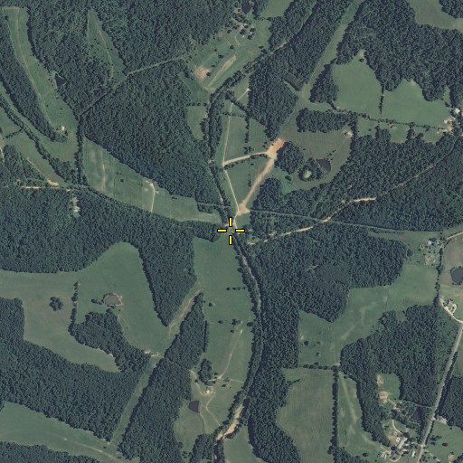 Aerial/Satellite Image of Dockins Branch, MO
