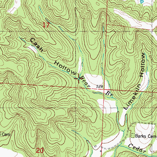Topographic Map of Cash Hollow, MO