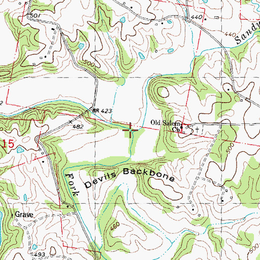 Topographic Map of Sandy Branch, MO