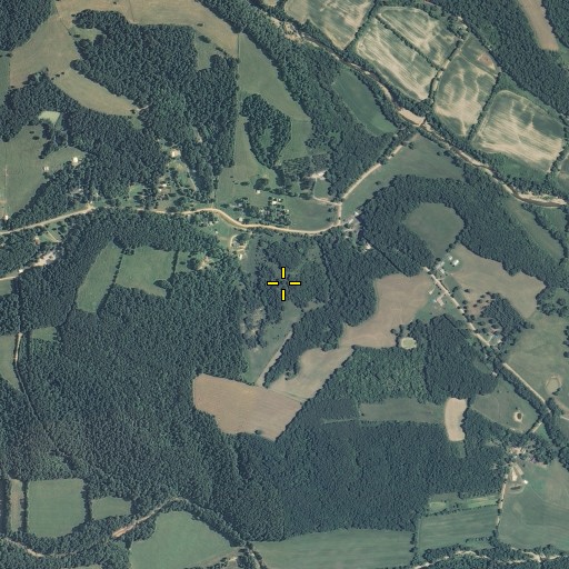 Aerial/Satellite Image of Buck Knob, MO