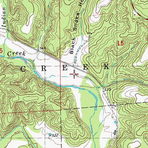 Topographic Map of Black Snake Hollow, MO