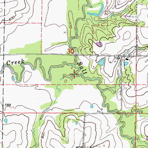 Topographic Map of Watts Branch, MO