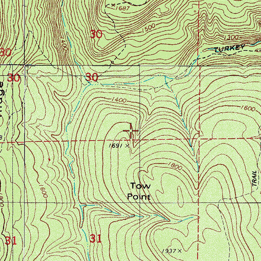 Topographic Map of Tow Point, AR