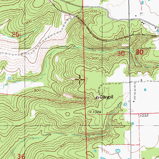 Topographic Map of Huckleberry Bluff, MO