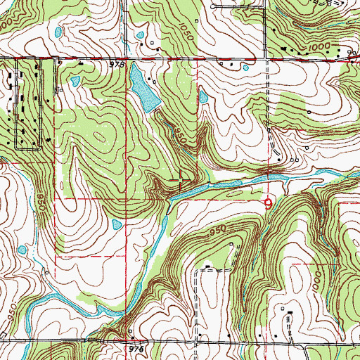 Topographic Map of Panther Bluff, MO