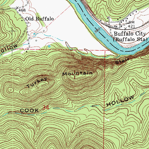 Topographic Map of Turkey Mountain, AR