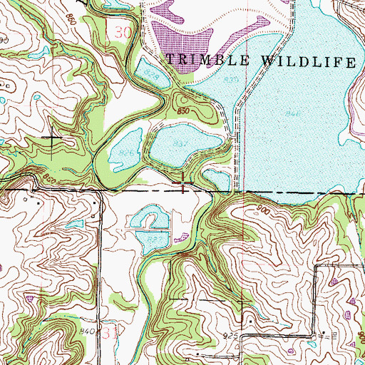 Topographic Map of Lingenfelter Branch, MO