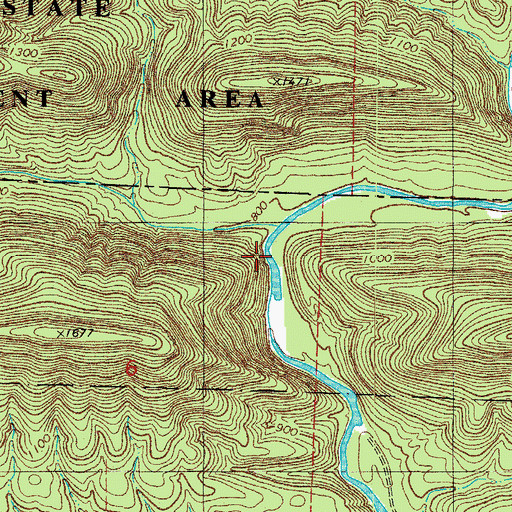 Topographic Map of Viles Branch, AR