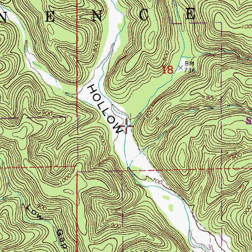 Topographic Map of Sinking Branch, MO