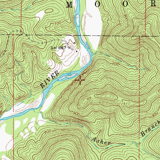 Topographic Map of Bee Bluff, MO