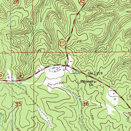 Topographic Map of Ohlman, MO